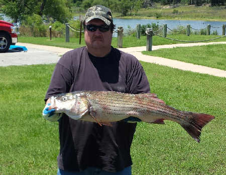 15lb Striper!
