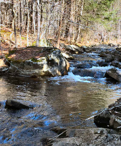 Trout Stream