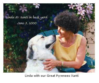 Linda with Xanti, or Great Pyrenees