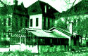 Greenhouse button