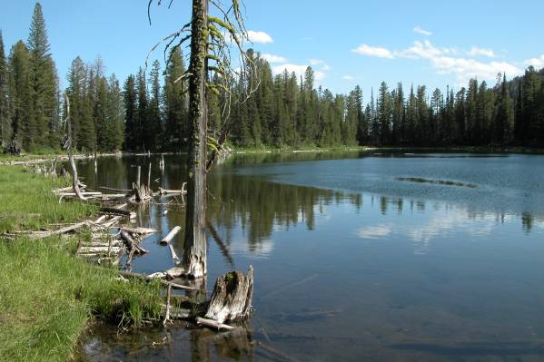 Aldous Lake