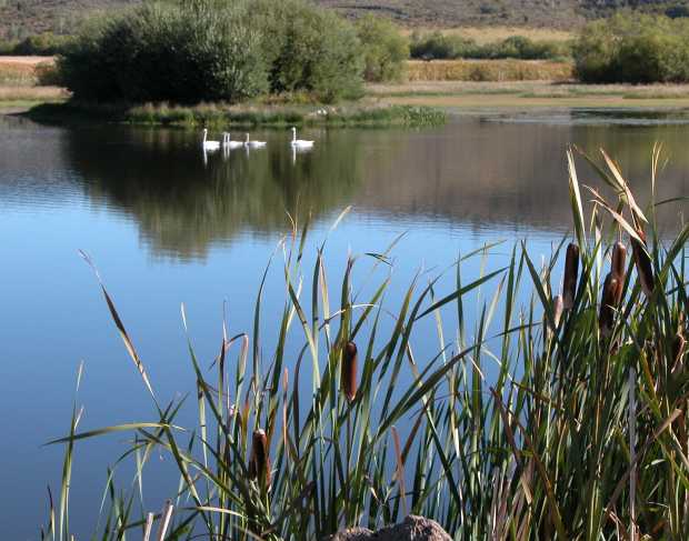 Sand Creek Wild Life Refuge