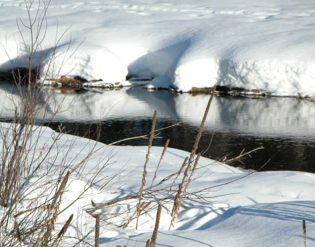 Thurmon Creek