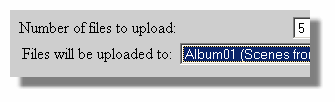 Select Album to recieve photos