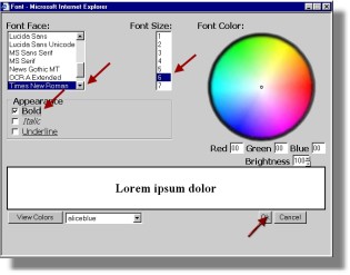Font color size picker