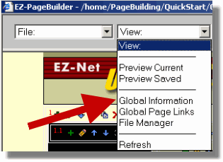 Global Information Link